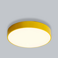 Yellow / 30 cm / Cool white