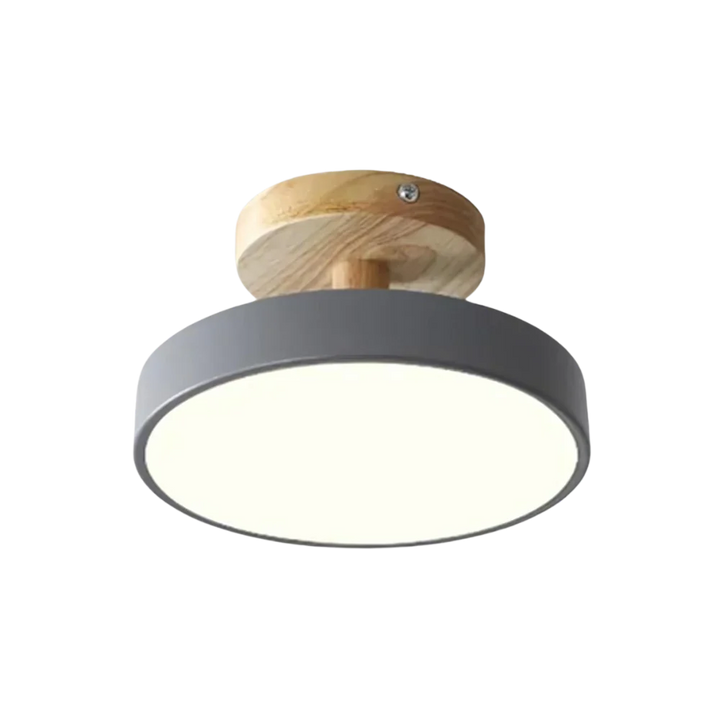 Soreia ceiling lamp in grey finish swatch