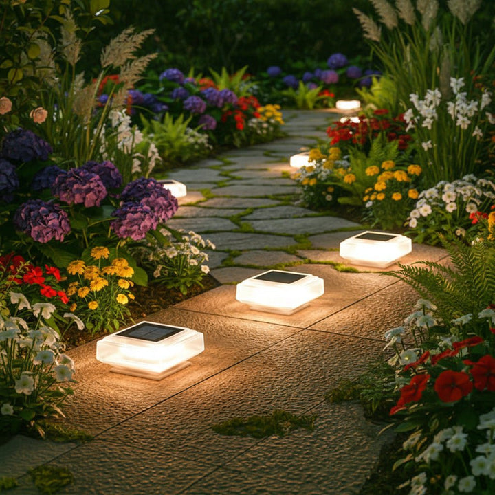 Contemporary ABS solar floor light illuminating garden border