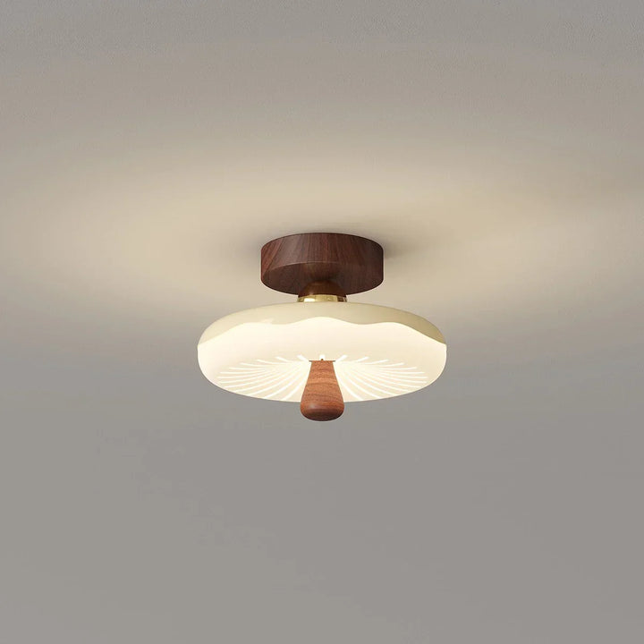 Cirevan Style C ceiling lamp entryway view