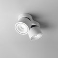 White / Warm light
